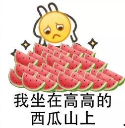 郑州大学生免费吃瓜,学生免费畅享瓜果盛宴