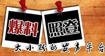 奇趣新闻爆料