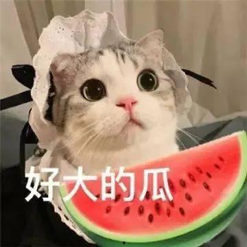 吃瓜网红兄弟,揭秘娱乐圈背后的那些事儿