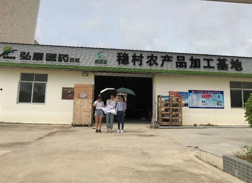 道湛村网红,网络红人聚集地，揭秘乡村新风尚