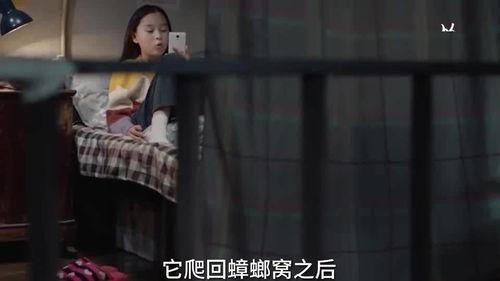 爆料孩子的视频大全集,视频大全集精彩回顾