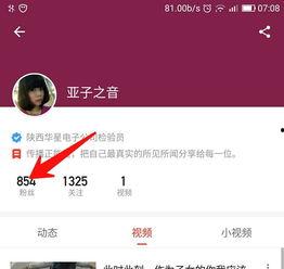 今日头条互粉成长记,今日头条上的友谊与成长之旅