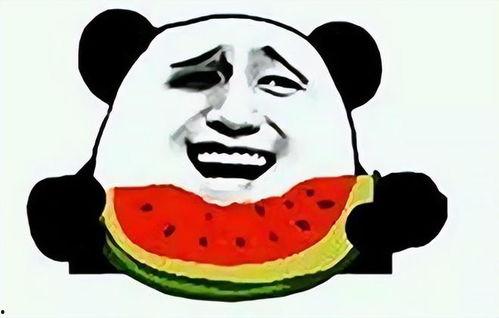 吃瓜才奇葩,揭秘那些奇葩的瓜界故事