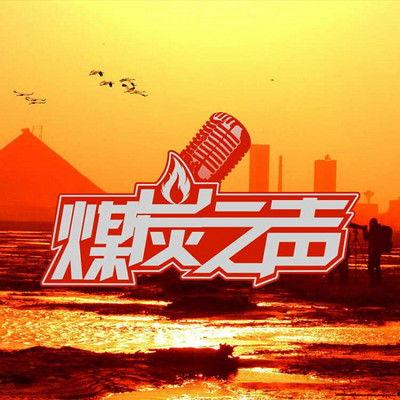 头条炭,揭秘新型环保炭材料的应用与前景”