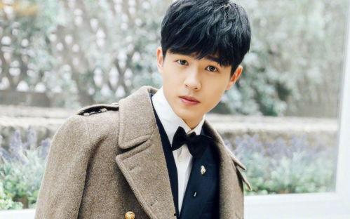 晨光男明星,揭秘晨光男明星的魅力风采