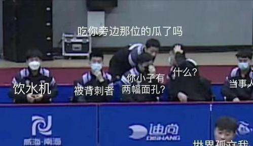国乒全体吃瓜,全体队员共度吃瓜时光，欢乐氛围感染赛场